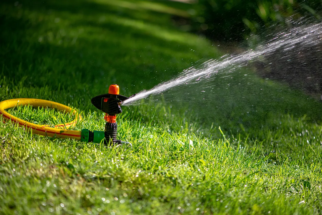 Pour un jardin épanoui : optez pour un système d'arrosage tourniquet